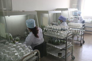 駐馬店地區考察團對西夏王葡萄酒產品質量和市場營銷給予了高度評價